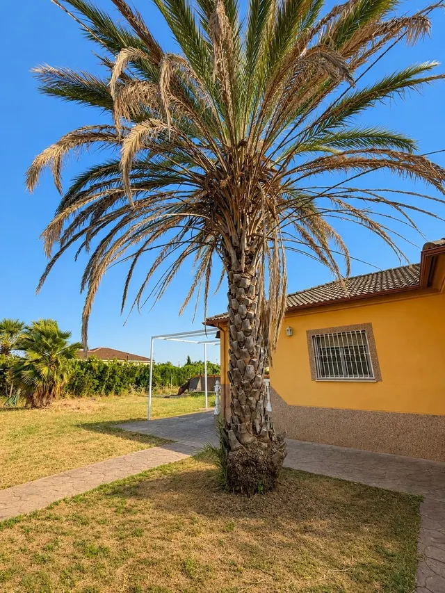 CASA INDEPENDIENTE CON 966 M/2 DE PARCELA EN NUEVO HIGUERON . — 45