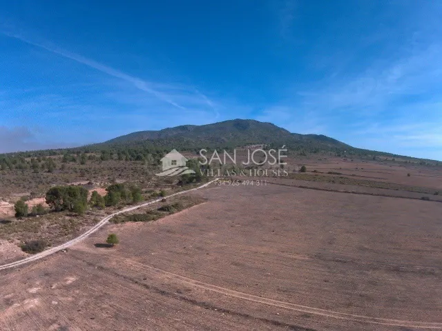 FINCA RUSTICA EN YECLA - PINOSO - foto 2