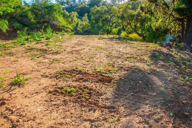 Parcela en venta - Marbella — 7