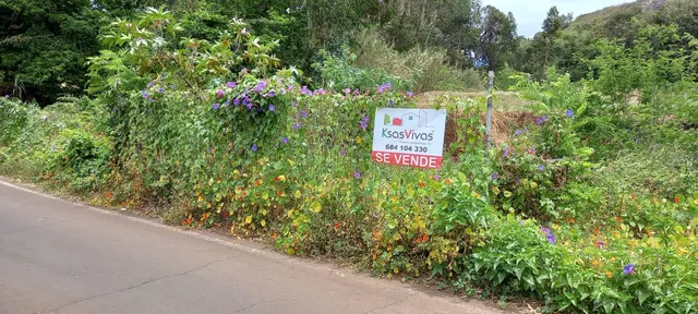 PARCELA TACORONTE 12.119 m2 — 7