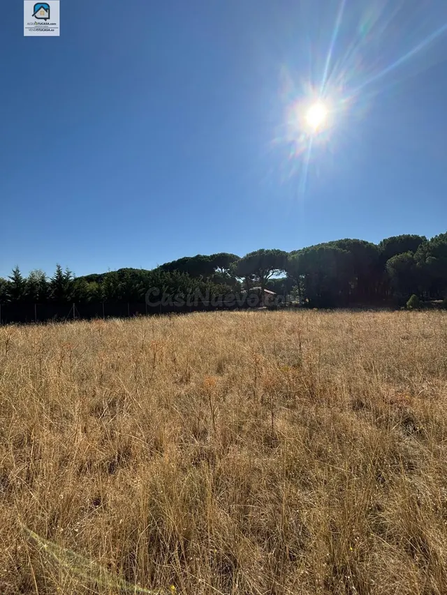 PARCELA EN URBANIZACIÓN DEHESA DE PEÑALBA - foto 4