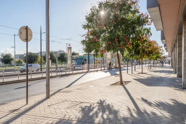 Moderno apartamento en el Campus de la Salud!!! — 46