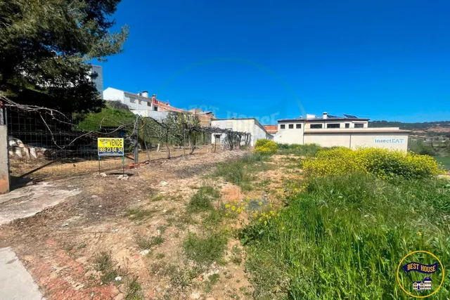 SOLAR EN VENTA URBANIZABLE EN CAÑAVERAS - foto 2