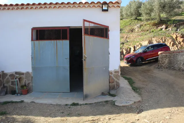 MAGNIFICO OLIVAR CON CASA, COCHERA PARA APEROS Y PISCINA ENTRE VILLAHARTA Y POZOBLANCO. — 11