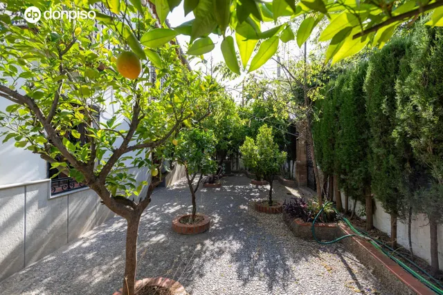 EXCLUSIVA FINCA CON 30.000 m2 DE SUELO URBANIZABLE EN OGÍJARES (GRANADA) – VIVIENDA, PISCINA Y GRAN POTENCIAL DE INVERSIÓN — 24