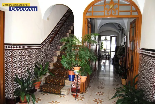 VIVIENDA MUY CÉNTRICA CON GRAN PATIO Y OTRAS EDIFICACIONES - foto 5