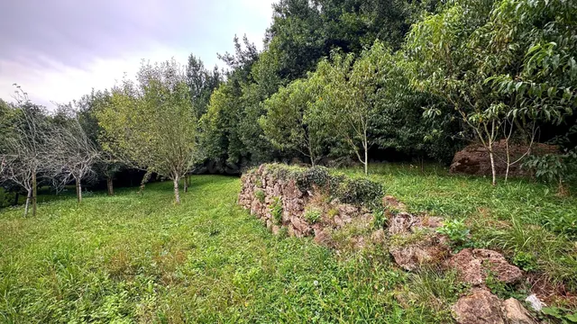 Terreno Urbano en Novales Alfoz de Lloredo - foto 3
