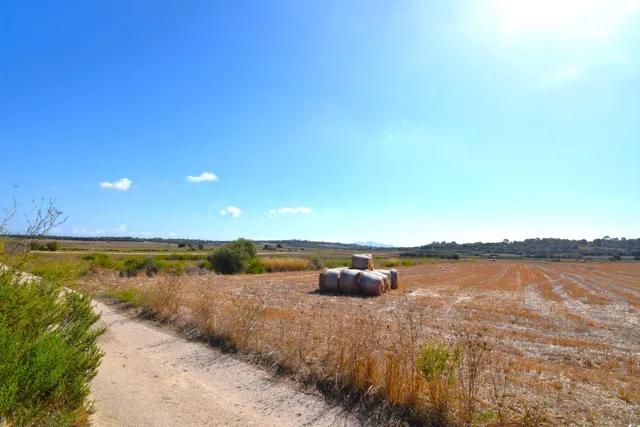 Finca rústica con posibilidad de vivienda en Muro - foto 5