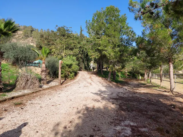 Casa con terreno en zona del Garruchal — 43