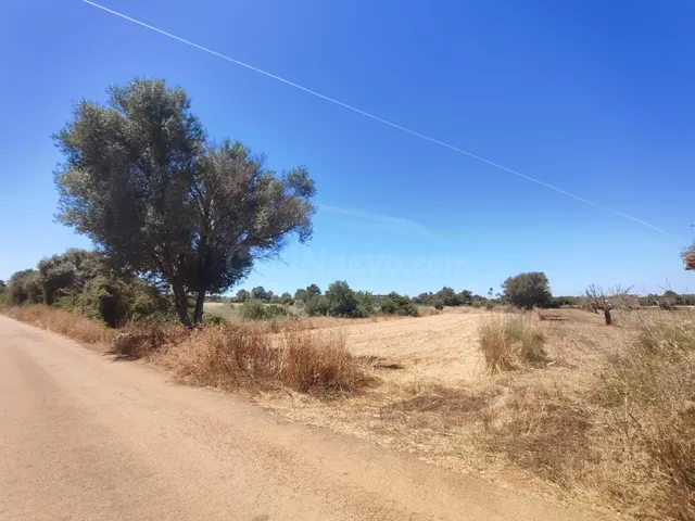 ✨ OPORTUNIDAD EN PLENA NATURALEZA – CAMÍ DE SON ROIG, A 3 KM - foto 4
