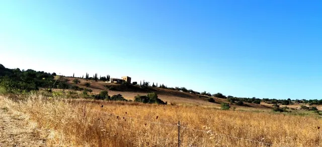 FINCA RUSTICA EN PARAJE DE PELÍCULA — 6