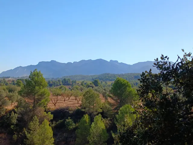 Finca rústica con maset en Arnes — 10