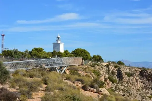 Te gustaria tener  un terreno rústico en  la misma carretera de Santa Pola donde pasar los domingos? parcela de 12.445 m2 — 15