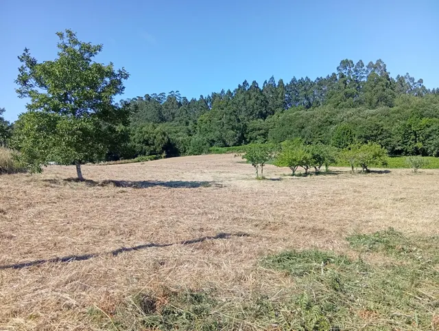Terreno urbano en Laraxe, Cabanas. — 13