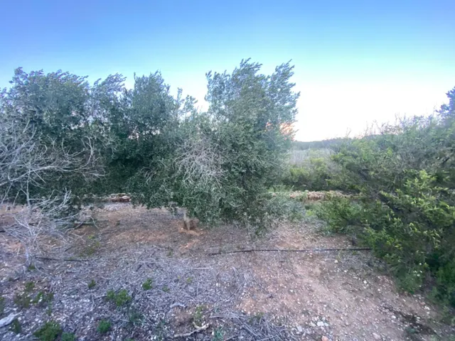 Encantador terreno con agua y luz de 1,2 ha — 9