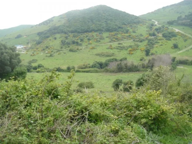 Se vende finca ceca de Tarifa — 6