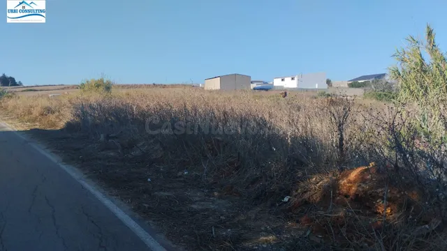 SE VENDE PARCELA SEGREGADA EN CALLEJON BORREGUITOS - foto 2