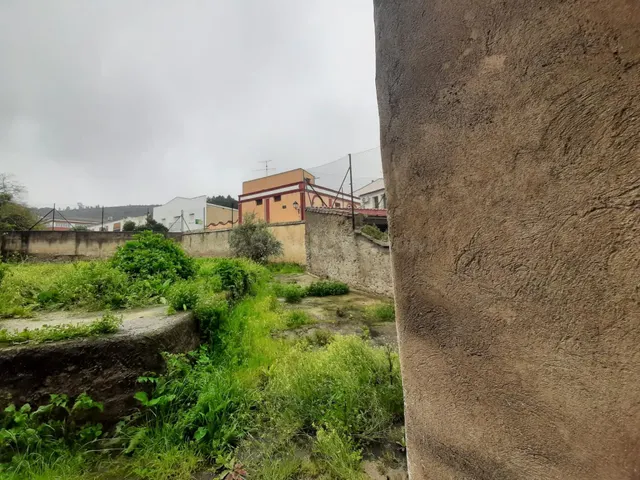 Gran casa con patio de 323 metros en Aliseda - foto 3