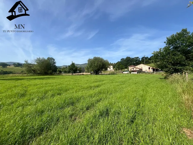 Finca de 3.849 m2 con todos los servicios: ideal para una gr - foto 5
