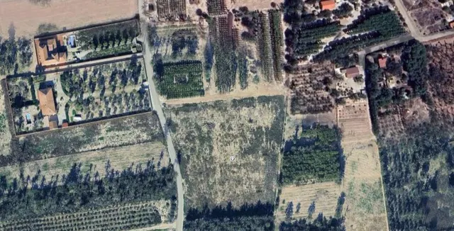 Parcela de 11.000m2 en La Hoya — 5
