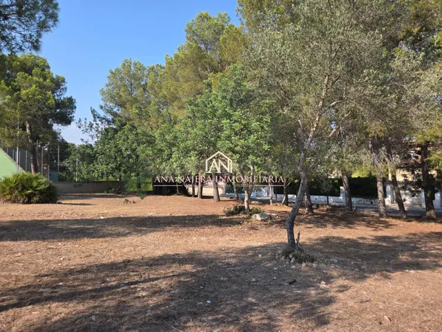 GRAN PARCELA EDIFICABLE EN LA CAÑADA
