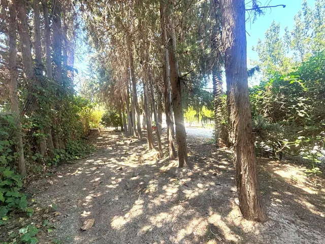 Exclusiva finca con encanto atemporal – una propiedad única cerca de Elche — 42