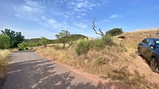 FINCA DE 6 Hectáreas con CASA CORTIJO para reformar — 8