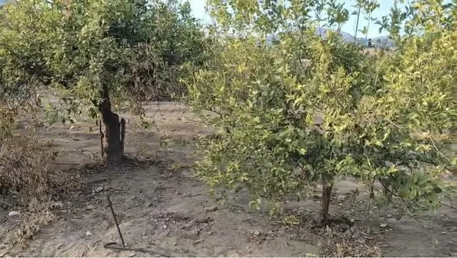 Parcela en venta - Alora pueblo — 11