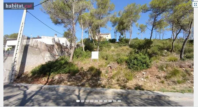 ¡¡ PARCELA EN OLIVELLA - CAN SURIA!! — 13
