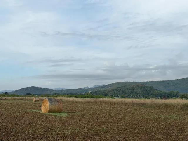 Terreno rural en venta - Pobla (Sa) — 6