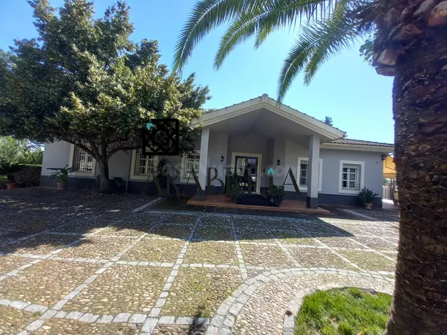 ESPECTACULAR FINCA DE 3.000m2 | 2 VIVIENDAS INDEPENDIENTES | - foto 5