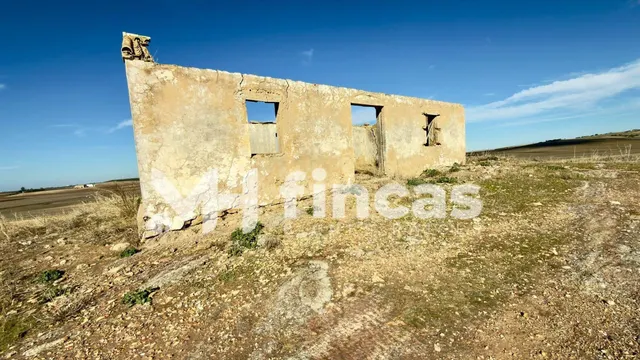 Fincas agrícolas en El Palmar de Troya y Utrera – Tierra cal - foto 4
