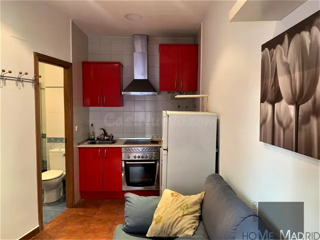 ESTUDIO HOME MADRID OFRECE piso de 35 m2 completamente refor - foto 4