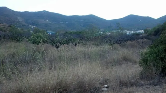 Parcela en venta - Centro - foto 3