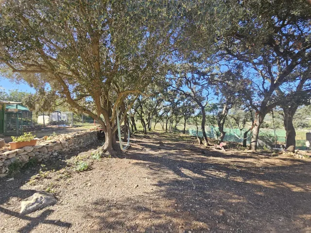 Terreno para recreo vallado y con acceso por camino asfaltado — 20