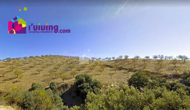 Casa de campo-Masía en Venta en Huercal-Overa Almería - foto 2
