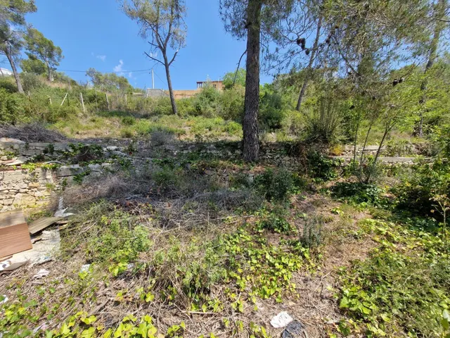 TERRENO EN CAN SURIA — 4
