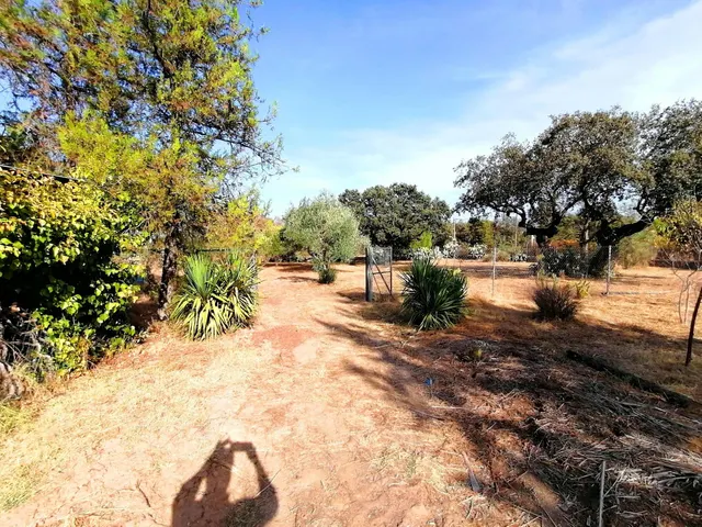 Chalet con Piscina en el Monte del Casar de Cáceres - Oportunidad única — 22