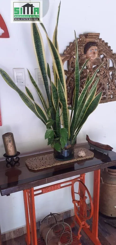 Venta de cabaña Ubicado en Barú — 6