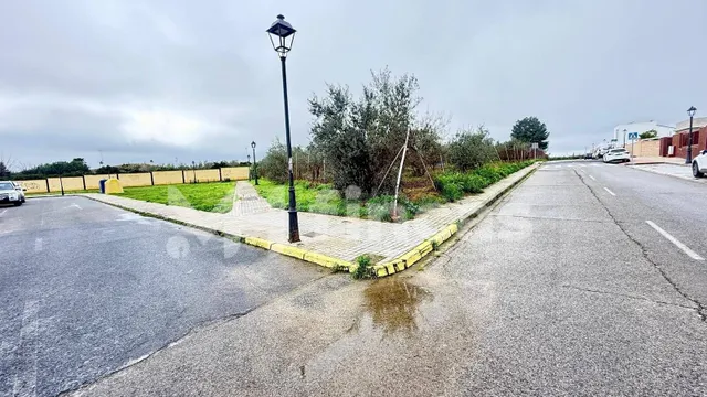 2,4 HECTÁREAS ESTRATÉGICAS EN UMBRETE (ALJARAFE – SEVILLA) - foto 2