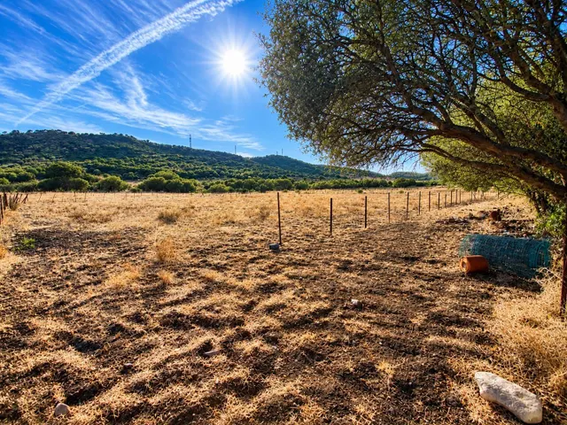 Finca rústica de 2,6 hectáreas en Alcalá de los Gazules – Amplio terreno con múltiples posibilidades. — 3
