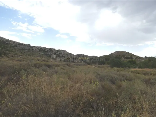 Terreno rural zona los colegiales — 3