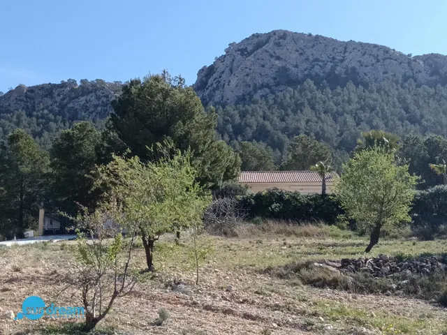 Villa 4 habitaciones 202m² en venta - Abanilla — 35