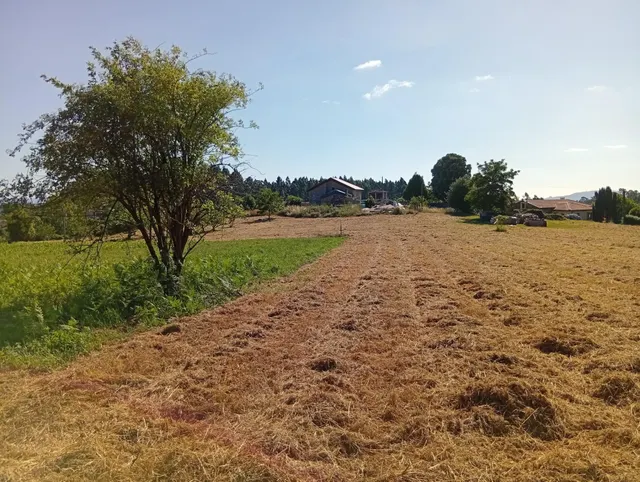 Terreno urbano en Laraxe, Cabanas. — 7