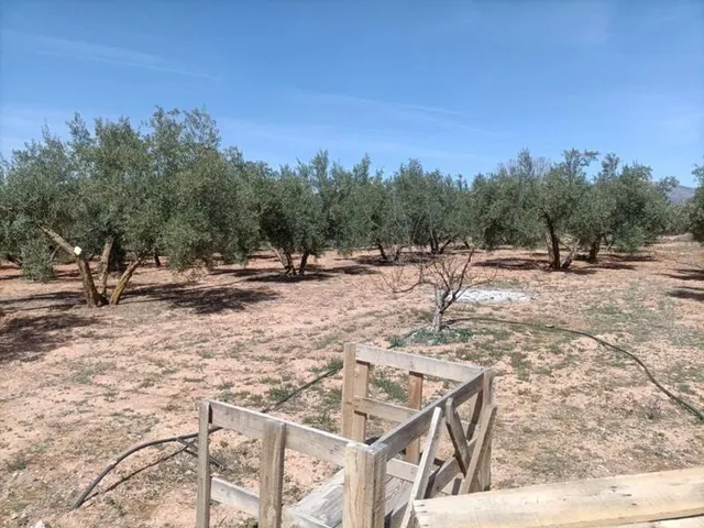 Finca rústica en venta — 9