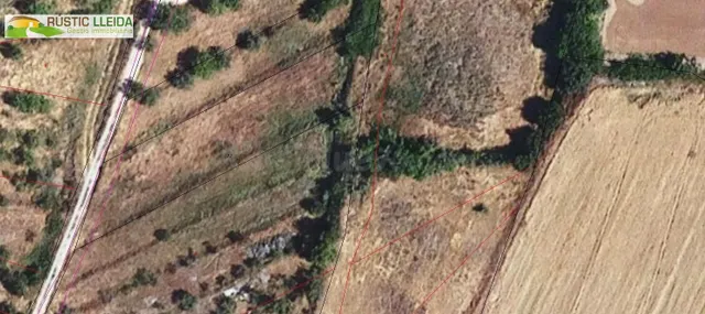 Huerto con agua de riego en los alrededores de Puiggròs.