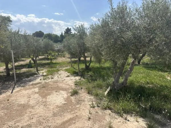 Parcela de terreno Rural cercana al casco urbano — 9