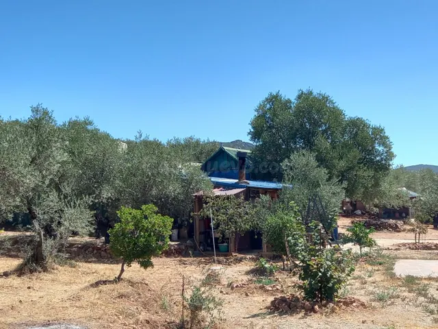 Finca de Olivos en la Montaña - foto 4