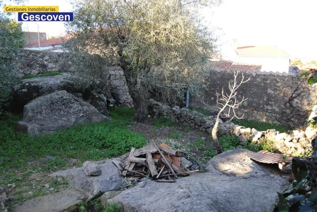 CASA CON TERRENO. PARA REFORMAR — 8