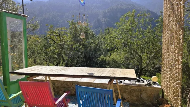 Olivar Con Caseta de Piedra y Vistas a la Tramuntana en Sóll - foto 4